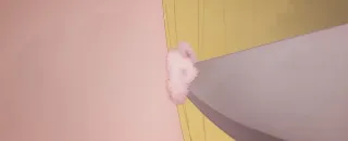 cotton