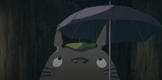 Totoro kawaii