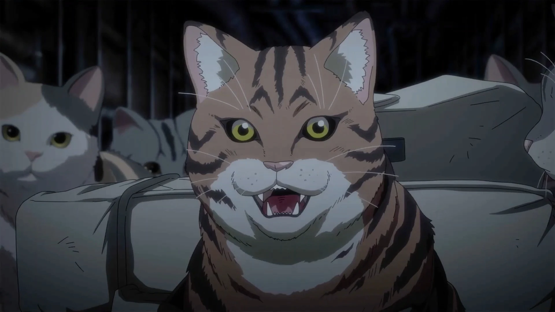 Reseña: Nyaight of the Living Cat